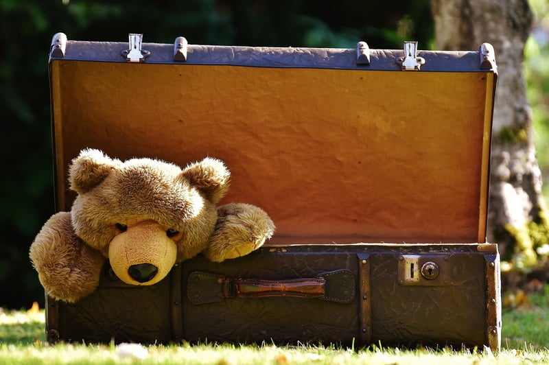 Travel Safety